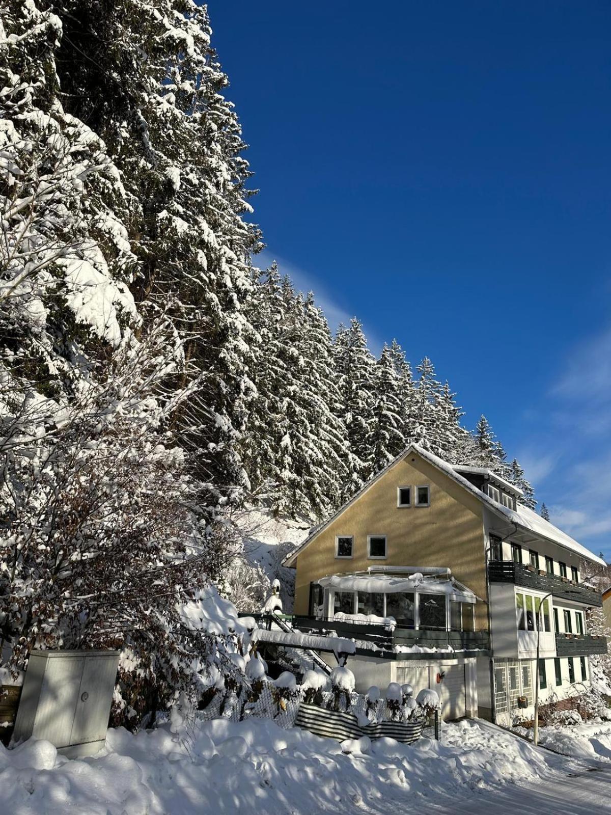 Haus Georgenhoehe Wildemann Exterior photo